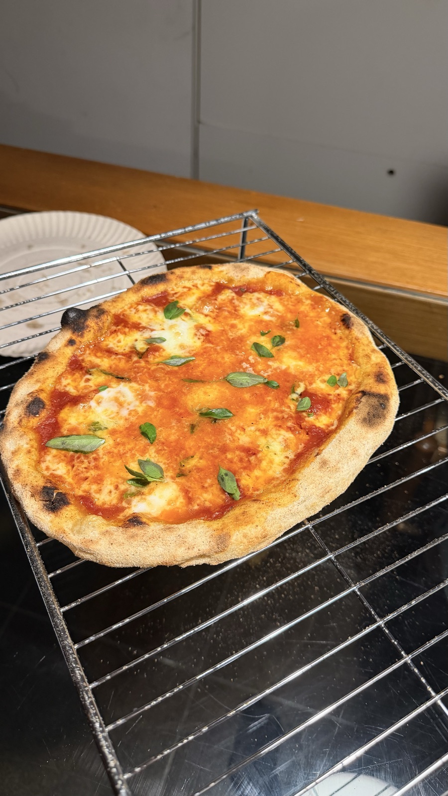 Pizza margherita com manjericão fresco recém-saída do forno